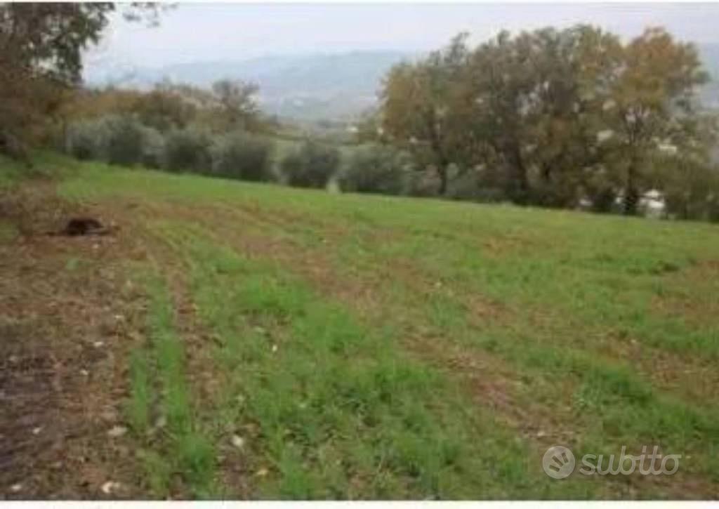 Immobile in asta di 31128 m² a Forlì - Vista 3