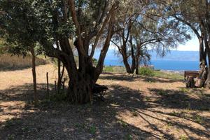 terreno panoramico 