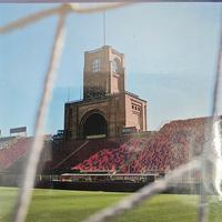 DVD stadio Dall'Ara