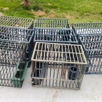 gabbie uccelli da richiamo 