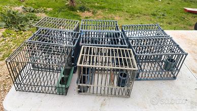 gabbie uccelli da richiamo 