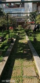 Giardiniere e bracciante agricolo