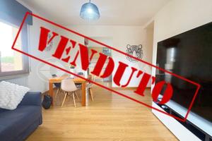 Trilocale a Pordenone