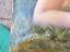 Immagine 5