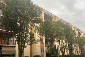 Trilocale vicino porta di roma