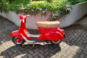 Vedo vespa 50 special