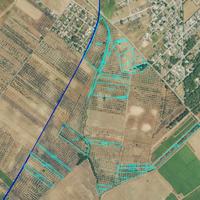 Terreno Olivetato 10,4HA Torchiarolo Case Bianche