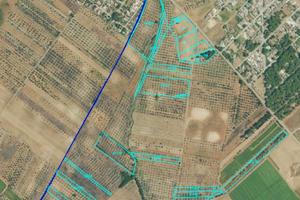 Terreno Olivetato 10,4HA Torchiarolo Case Bianche