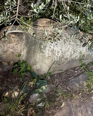 Anfora in terracotta.