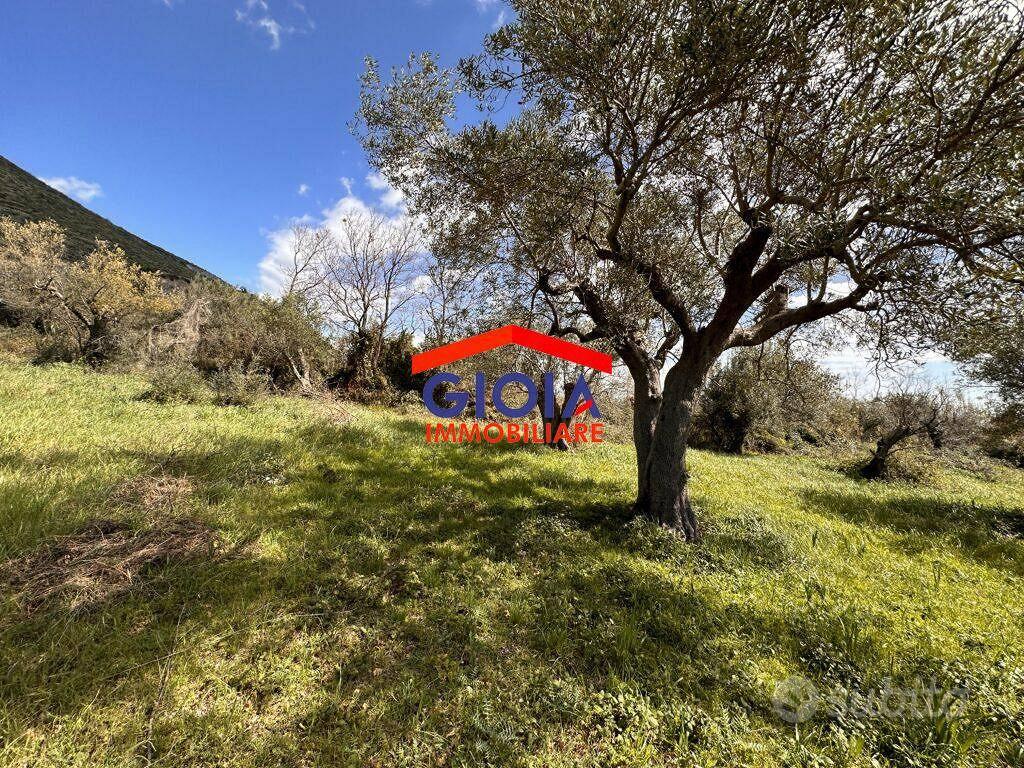 Terreno di 8430 m² a Mondragone - Altro