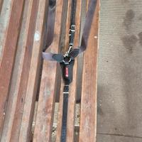 Pettorale marrone Equipe con elastici