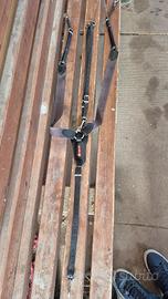 Pettorale marrone Equipe con elastici