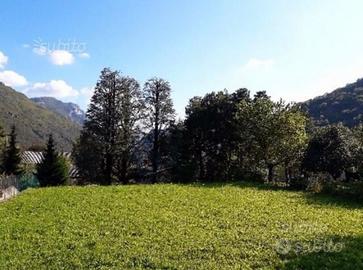 Trattativa: TERRENO EDIFICABILE A BALLABIO (Lc)