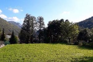 Non disponibile: TERRENO EDIFICABILE-BALLABIO (Lc)