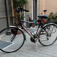 Bicicletta Vertek da uomo