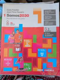 Somos 2030 