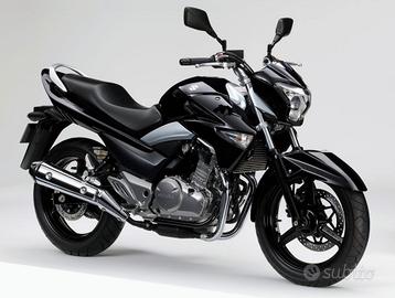 Suzuki Inazuma 250 - 2015
