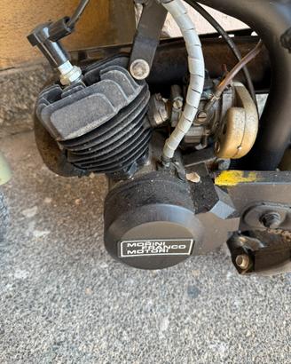 Minimoto bat mini
