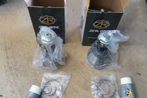 Giunto omicinetico alfa