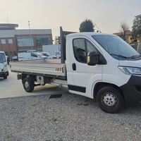 Citroen jumper cassone