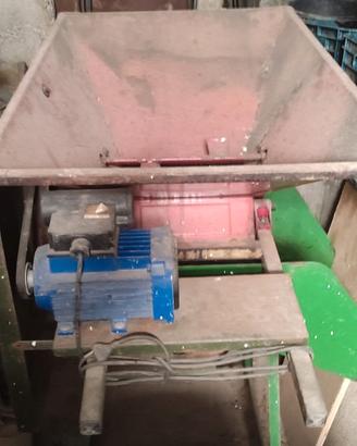 Torchio elettrico per uva