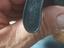 Immagine 3