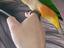 Immagine 3