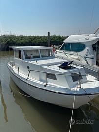 pilotina dislocante murena