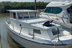 pilotina dislocante murena