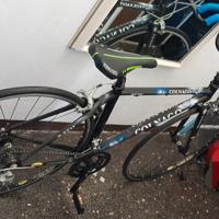 Bicicletta da corsa marca Colnago.