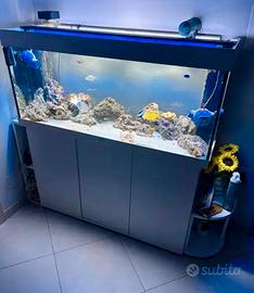 Acquario marino Juwel Rio 240 completo