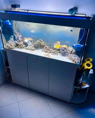 Acquario marino Juwel Rio 240 completo