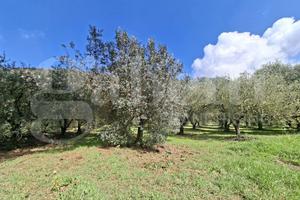 Terreno Agricolo Vairano Patenora