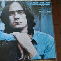 Disco Vinile James Taylor