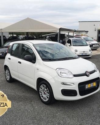 FIAT Panda 1.2 RATE AUTO MOTO SCOOTER