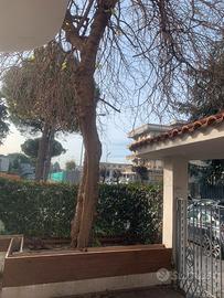 Locale commerciale con spazio esterno