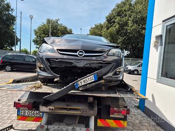 astra incidentata 