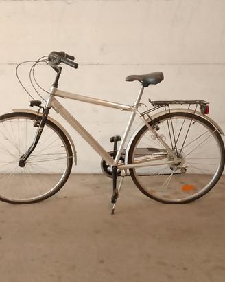 Bicicletta da adulti