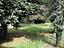 Immagine 24