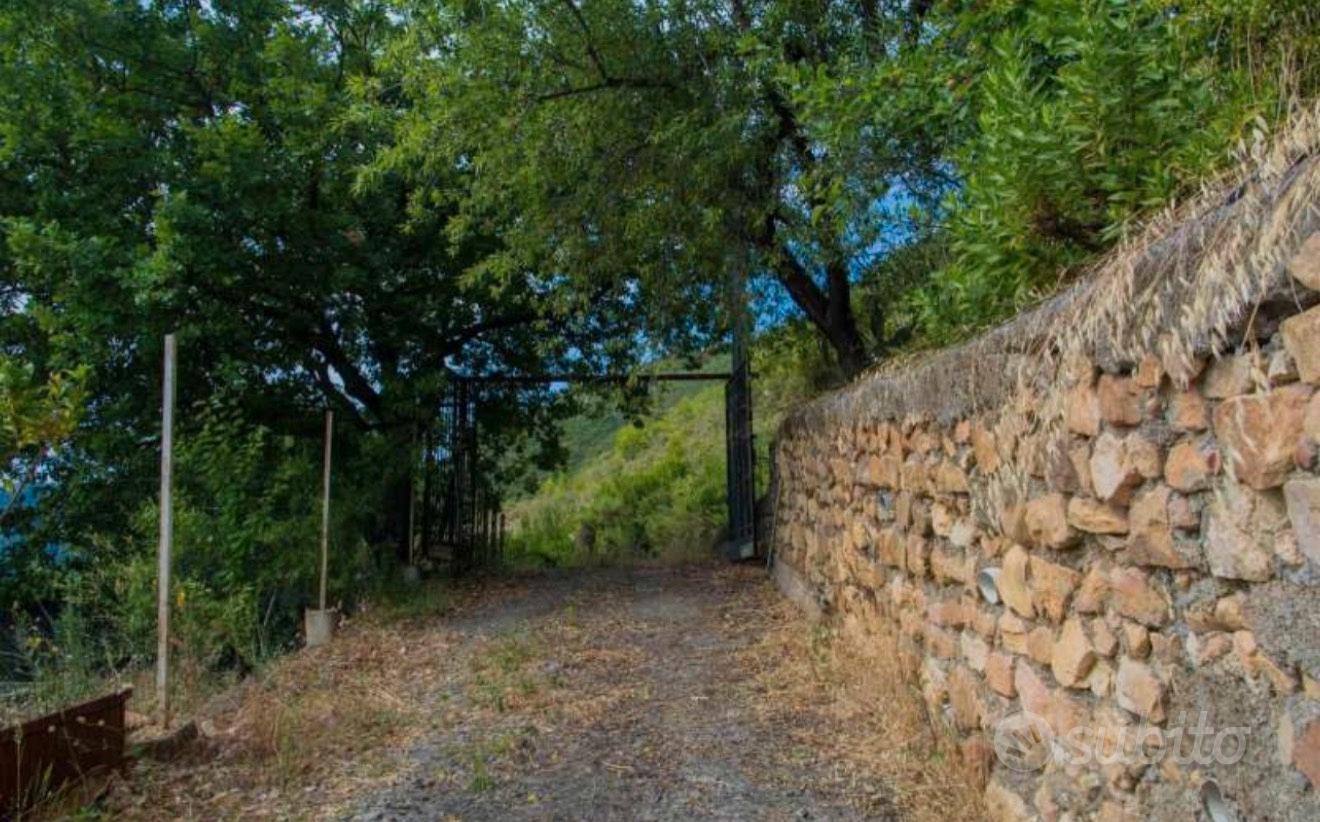Terreno agricolo con magazzino - Vista 2