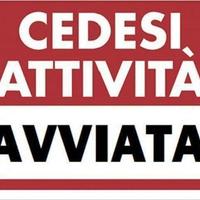 Attivita' caseificio - alimentari - gastronomia