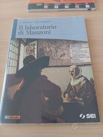 testo scolastico #Il laboratorio di Manzoni#