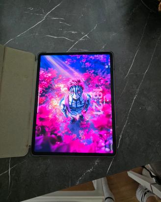 ipad pro 12.9 2021