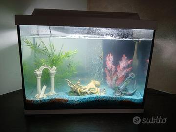 Acquario Tetra 80 litri led