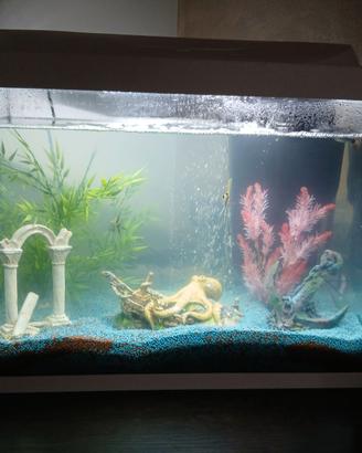 Acquario Tetra 80 litri led