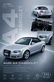 audi cabrio gpl