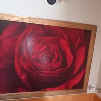 Quadro