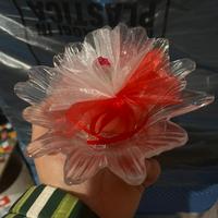 Bomboniere di cristallo avanzate nuove