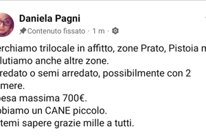 Appartamento Prato