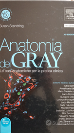 Anatomia del GRAY 40a edizione Volume n.1